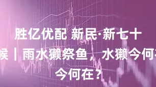 胜亿优配 新民·新七十二候｜雨水獭祭鱼，水獭今何在？